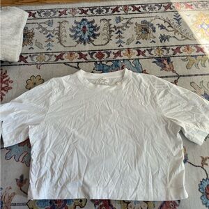 Aritzia Wilfred Tshirt